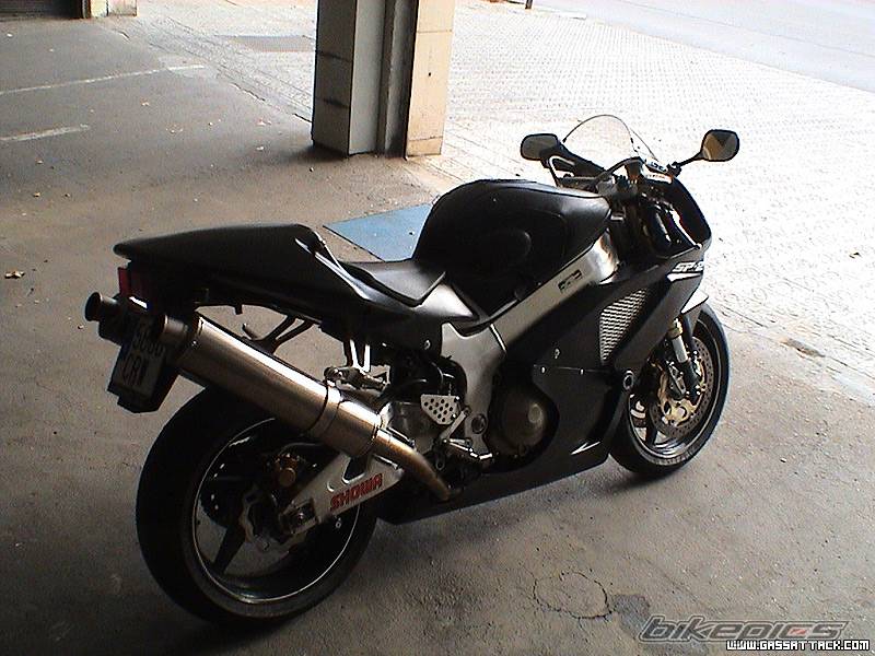Photo 241782