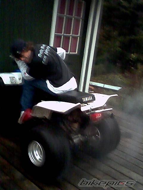 Photo 241797