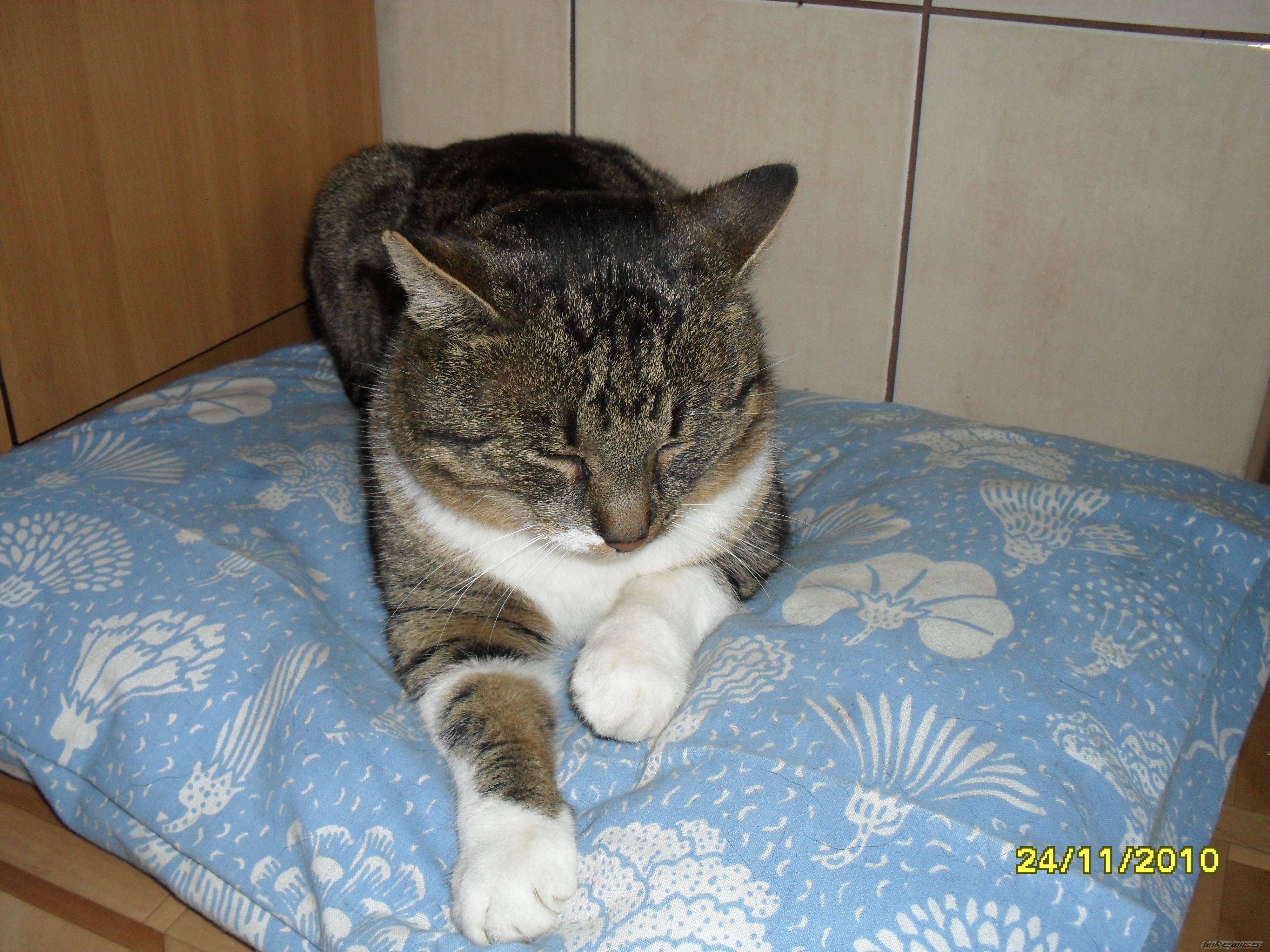 Photo 2418204