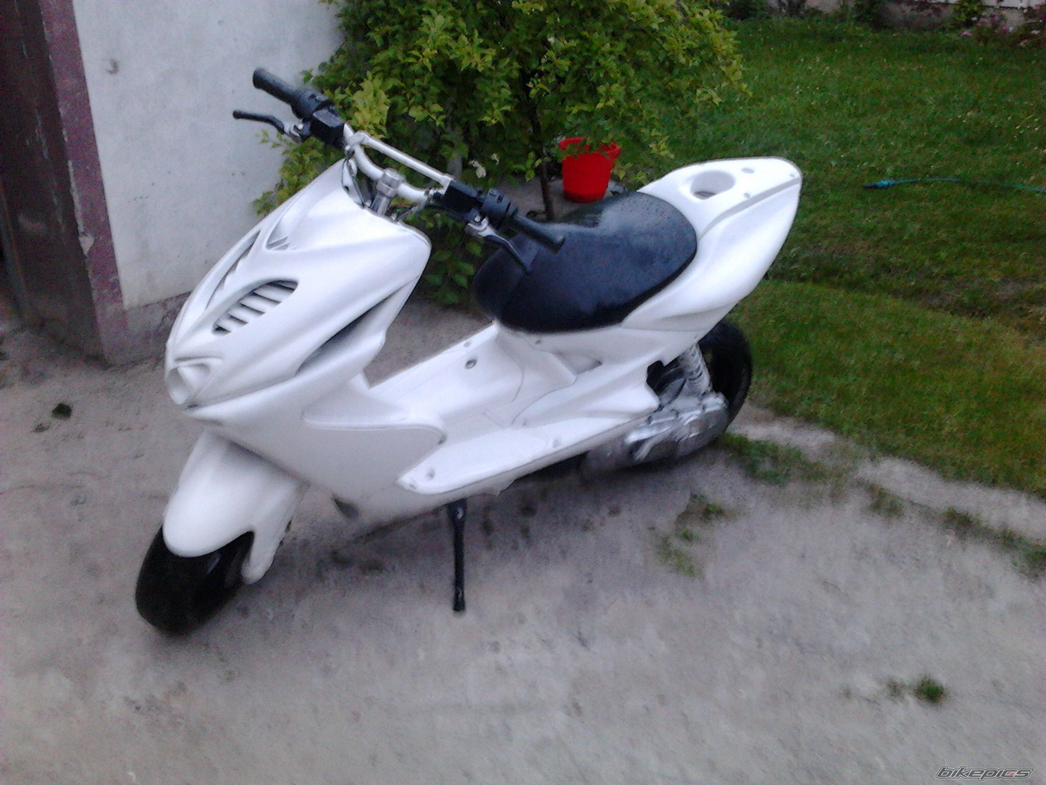 Photo 2418207