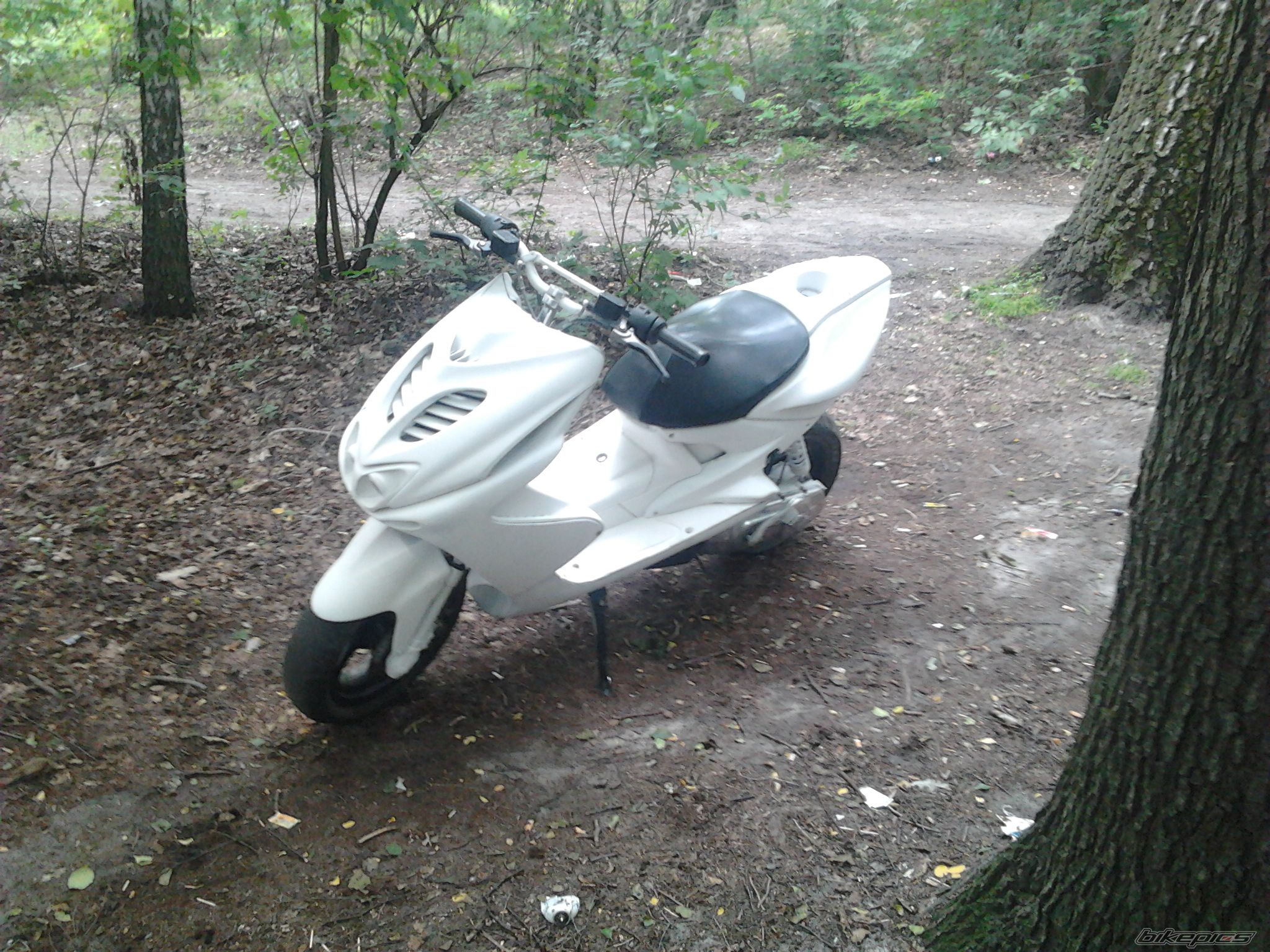 Photo 2418212