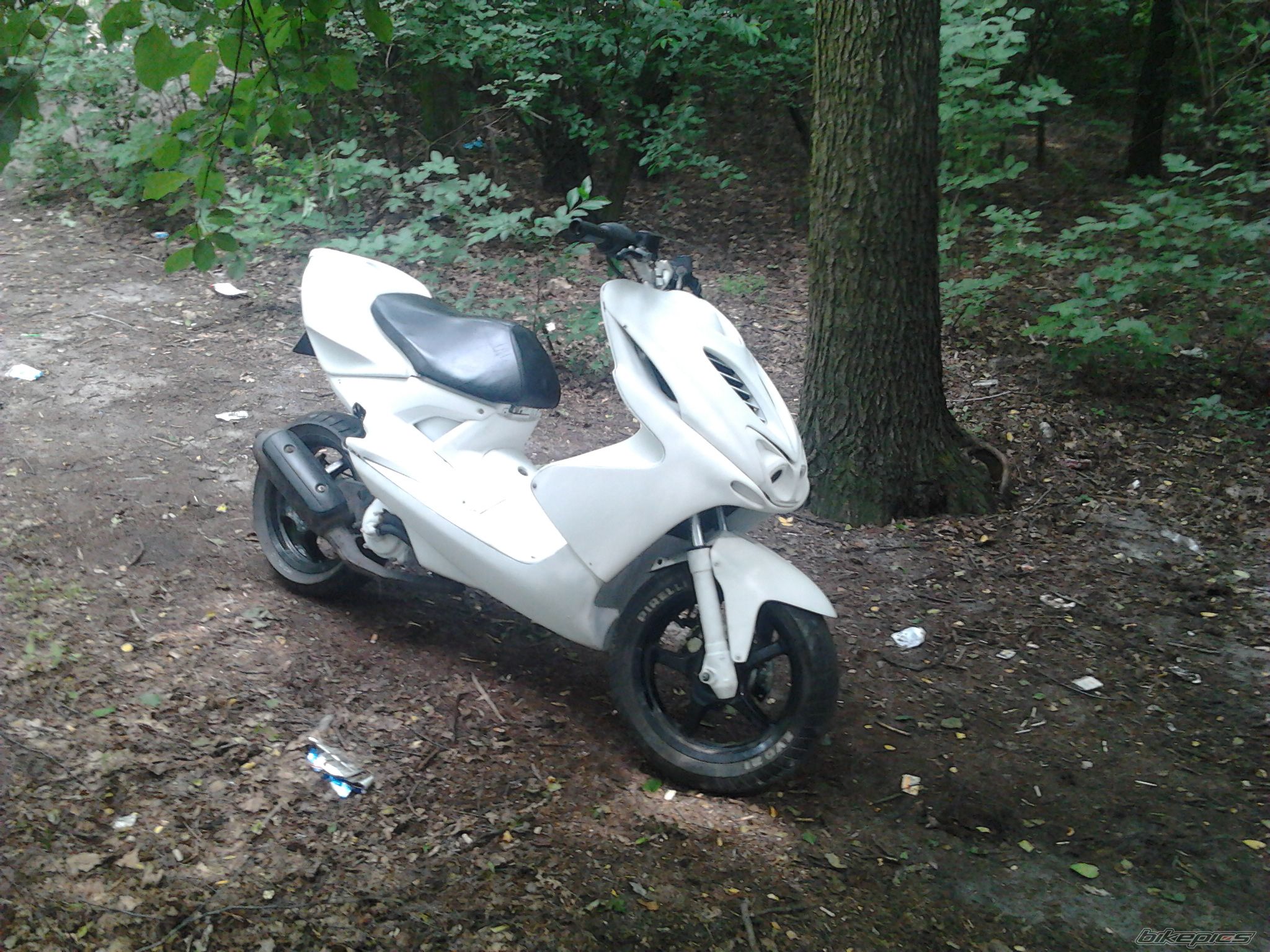 Photo 2418214