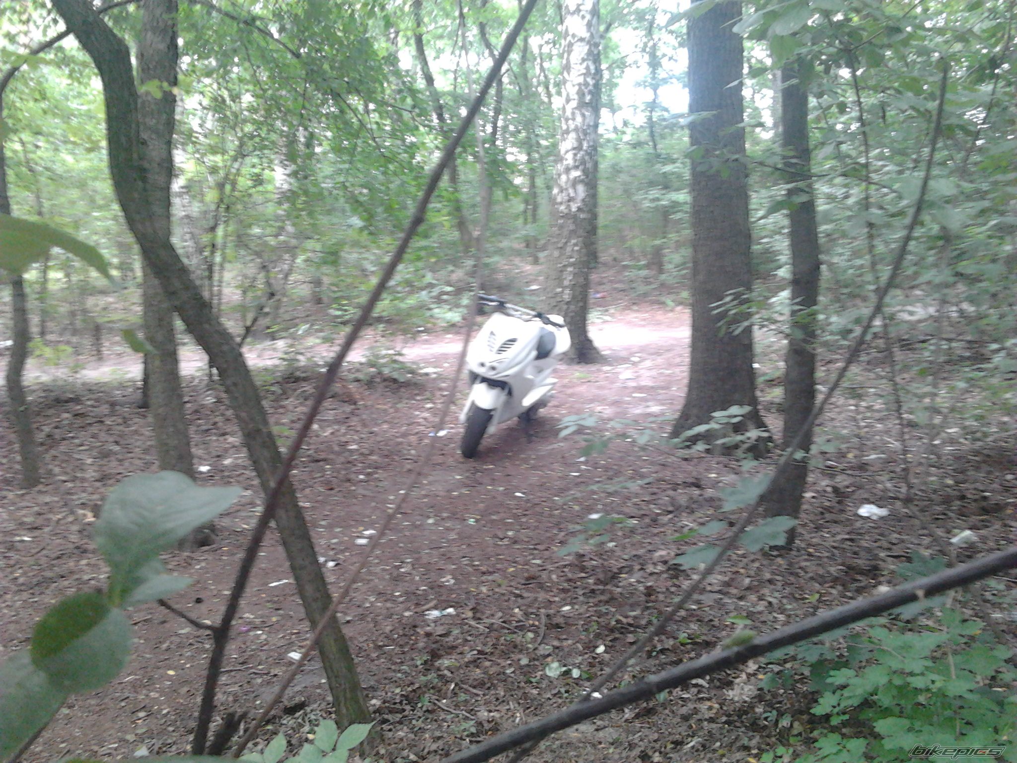 Photo 2418215
