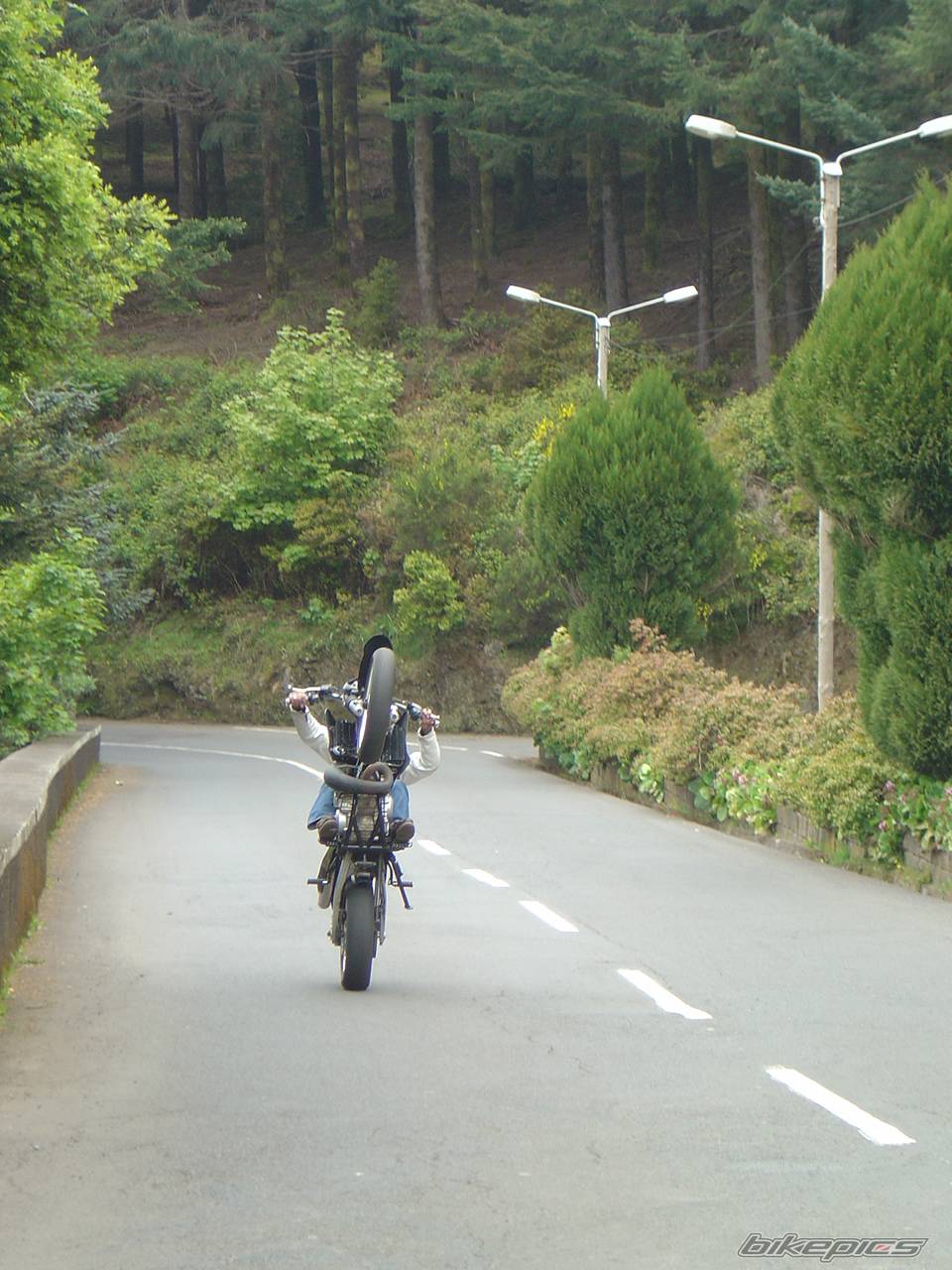 Bike Photo 241822