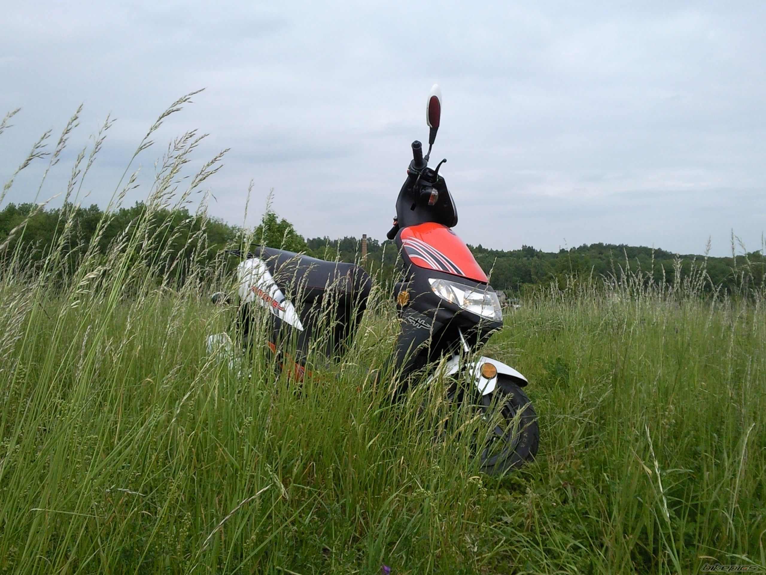 Photo 2418268