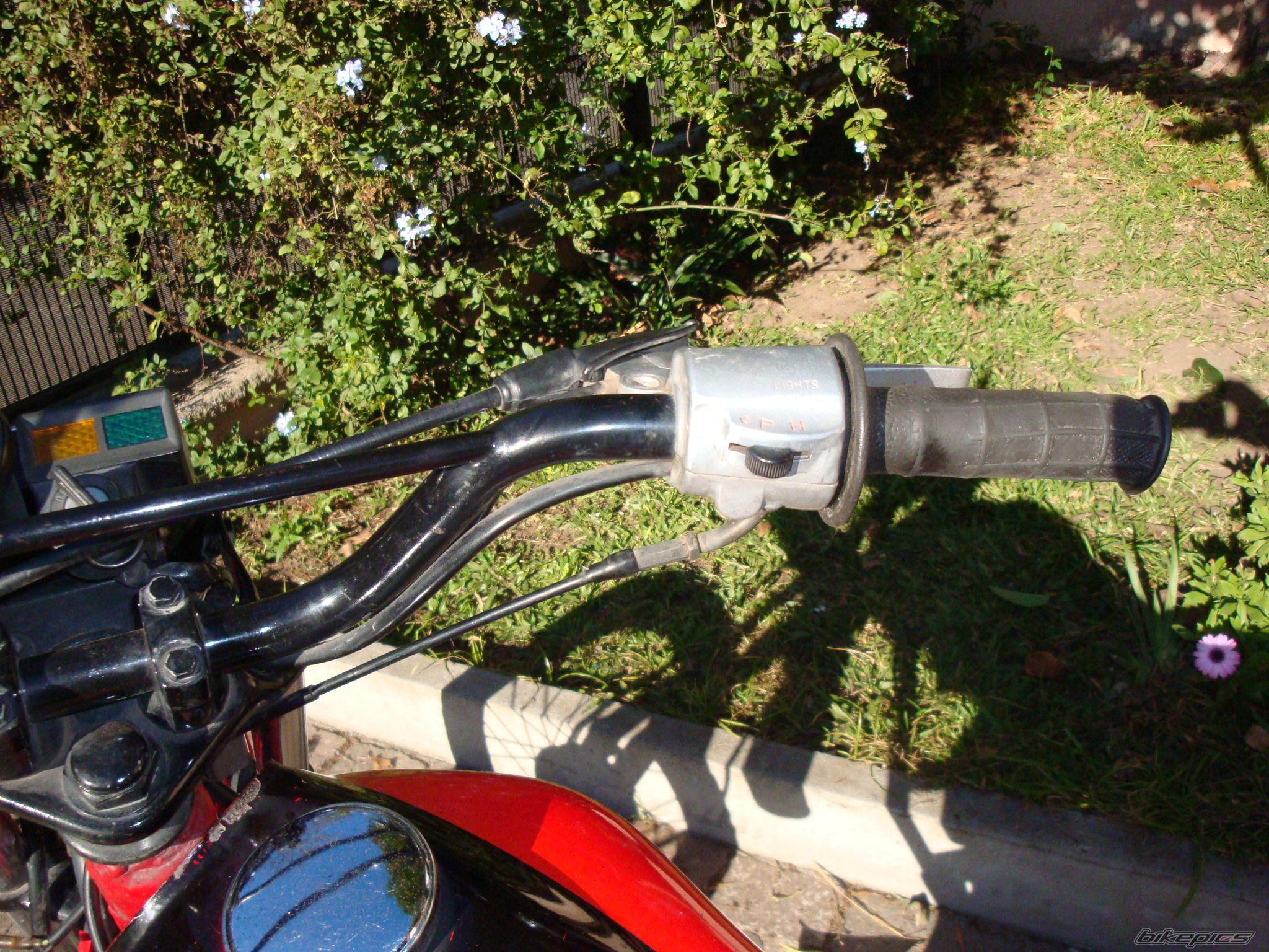 Photo 2418316