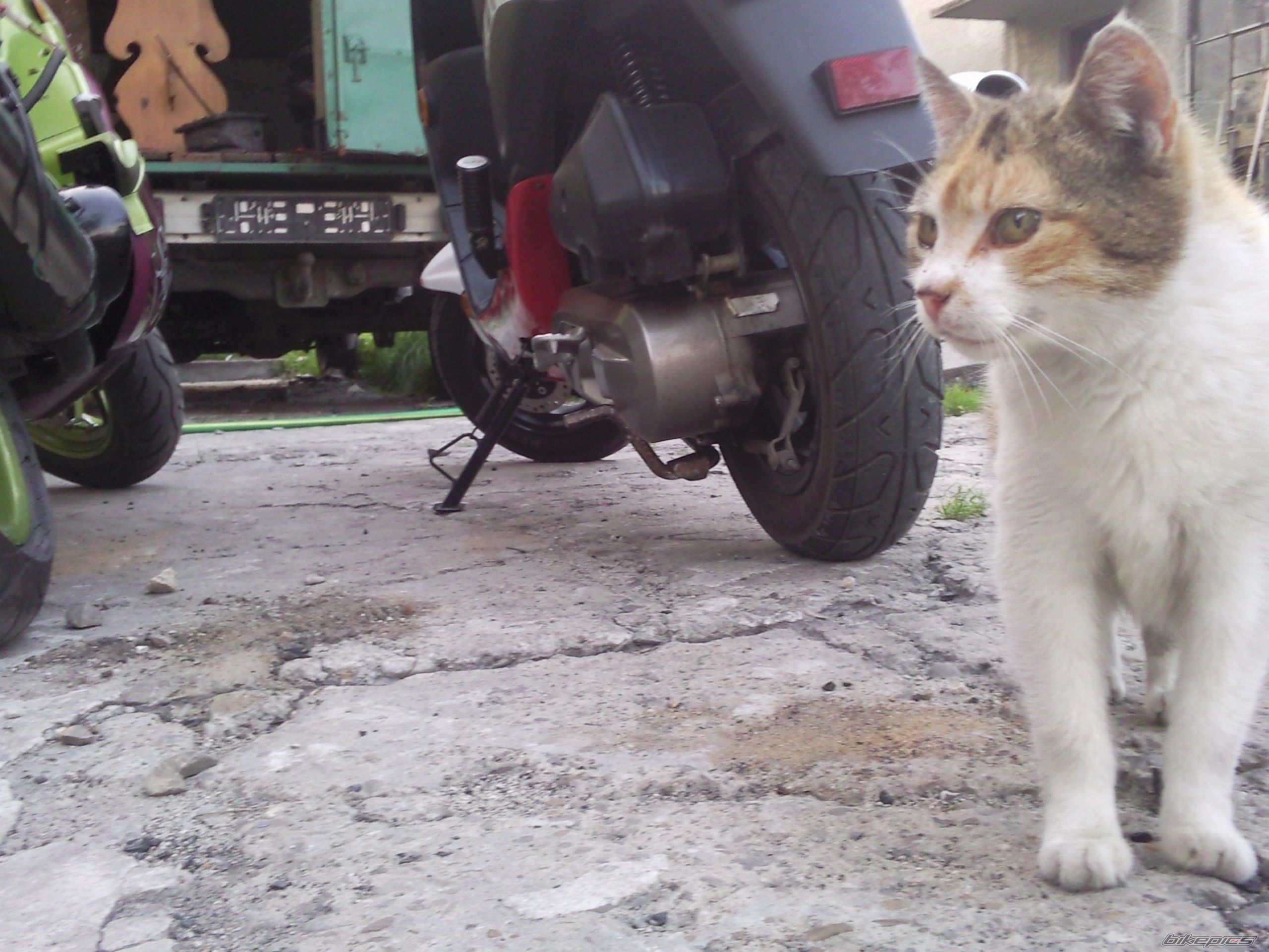 Photo 2418317