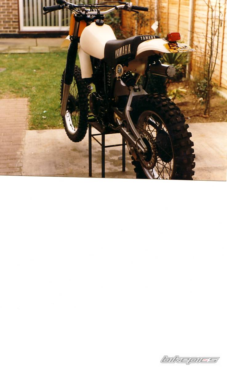 Photo 241832
