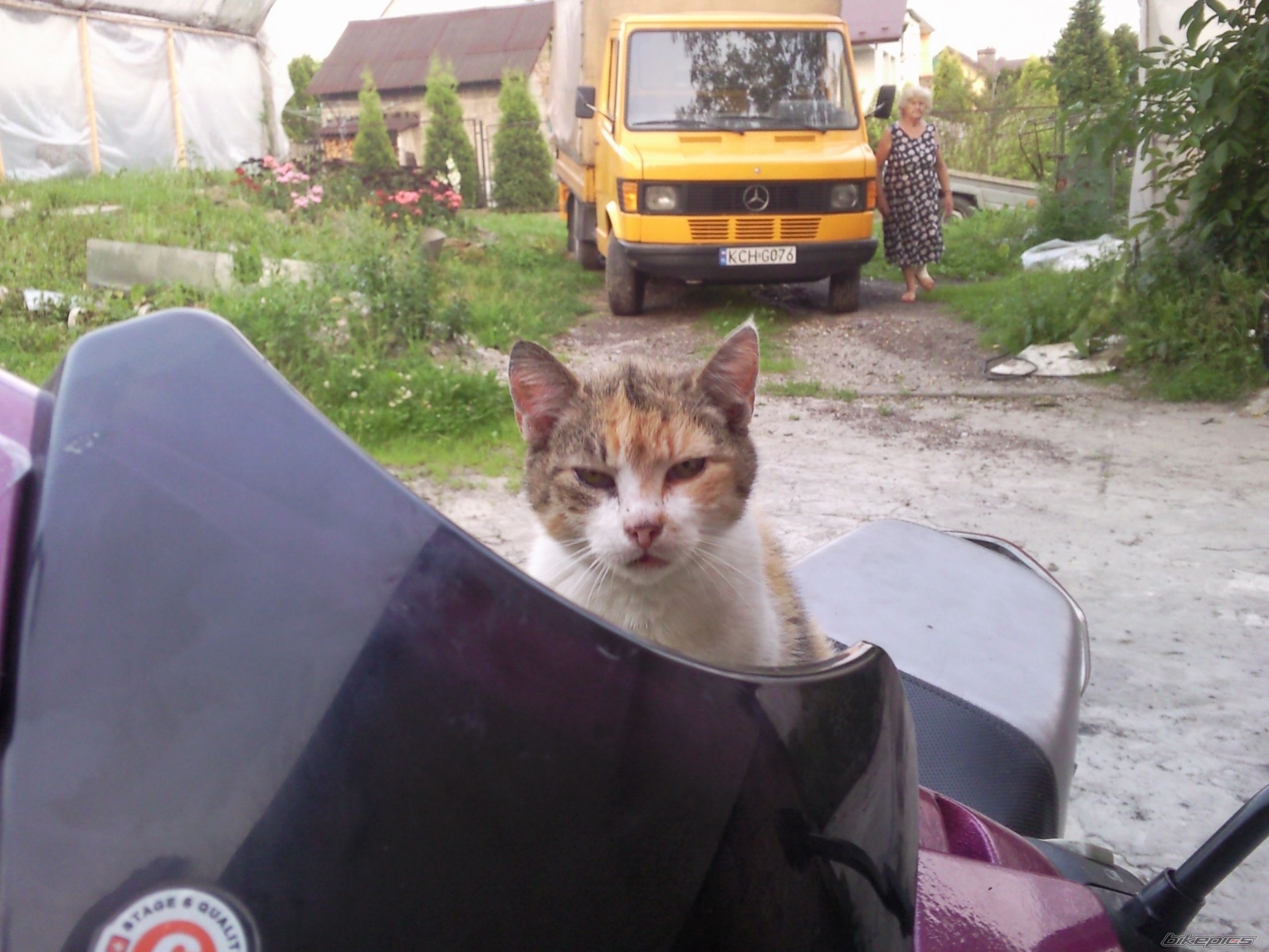 Photo 2418321