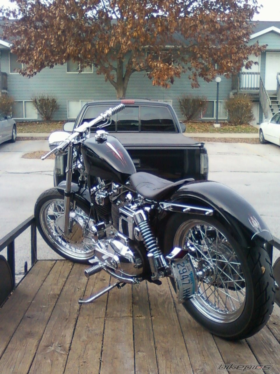 Photo 2418348