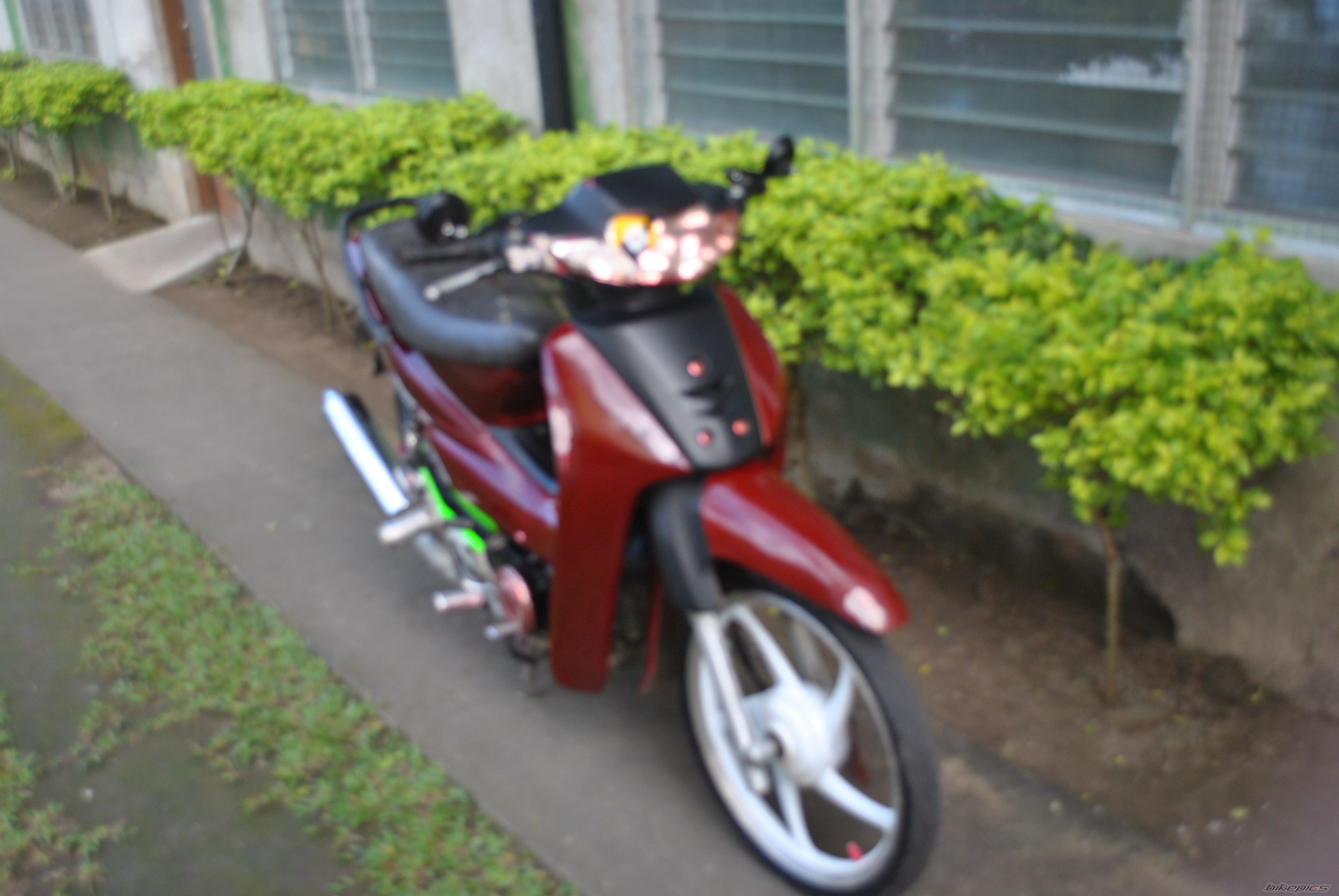 Photo 2418384
