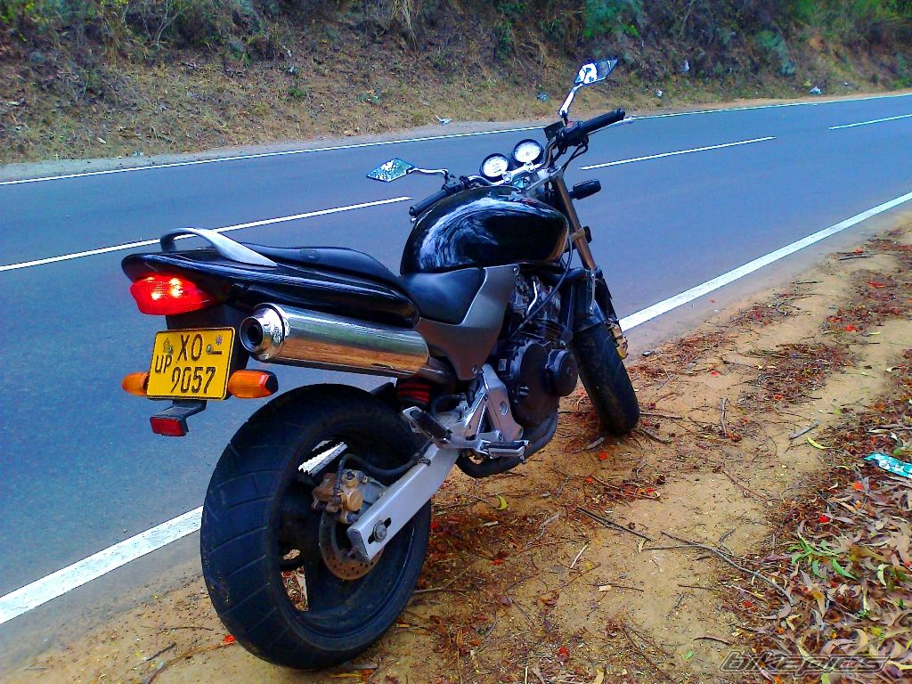 Photo 2418524