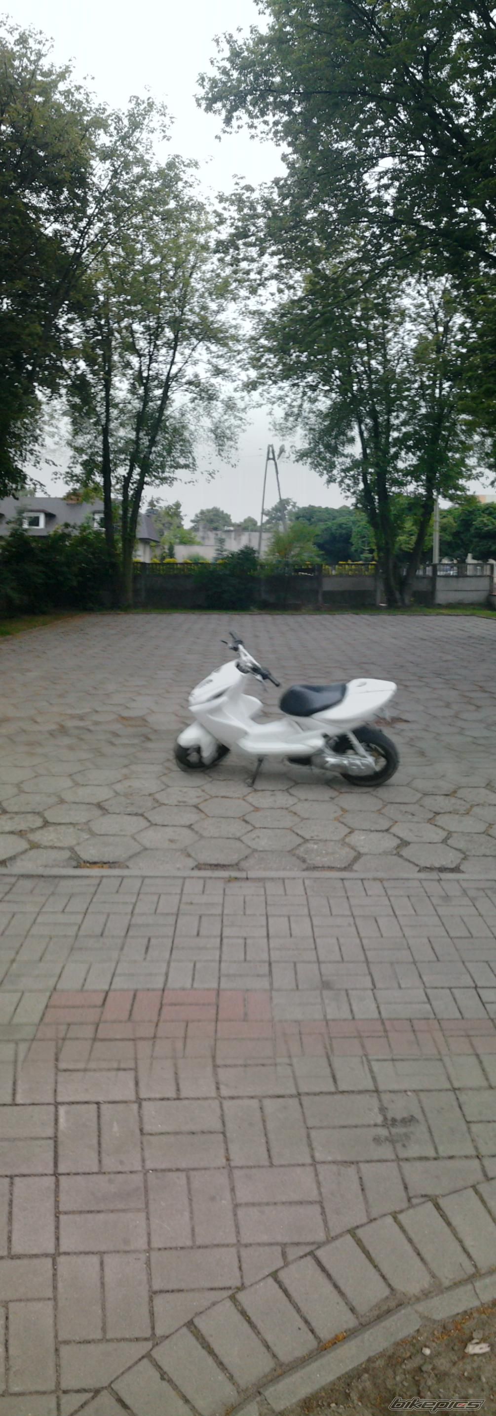 Photo 2418583
