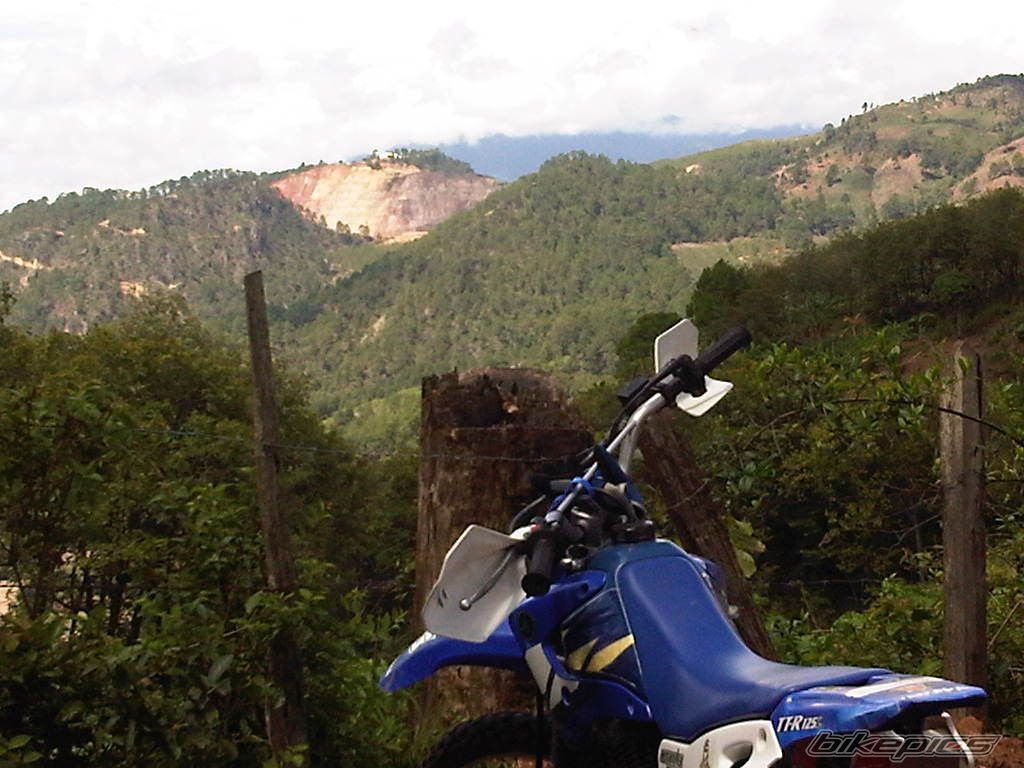 Photo 2418715