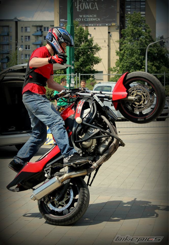 Photo 2418740