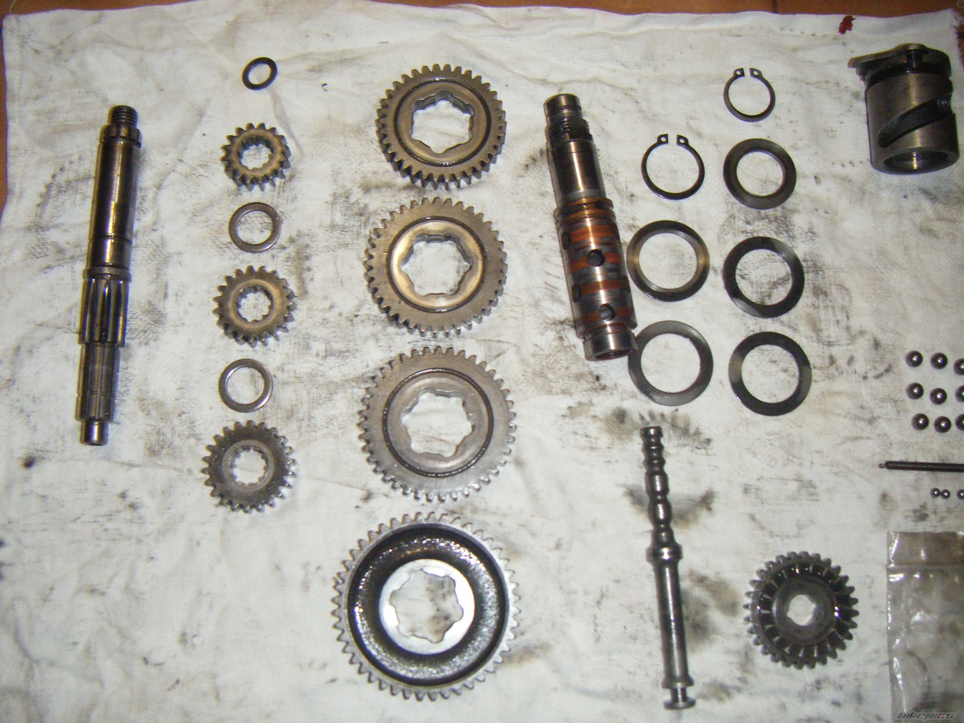 Photo 2418818