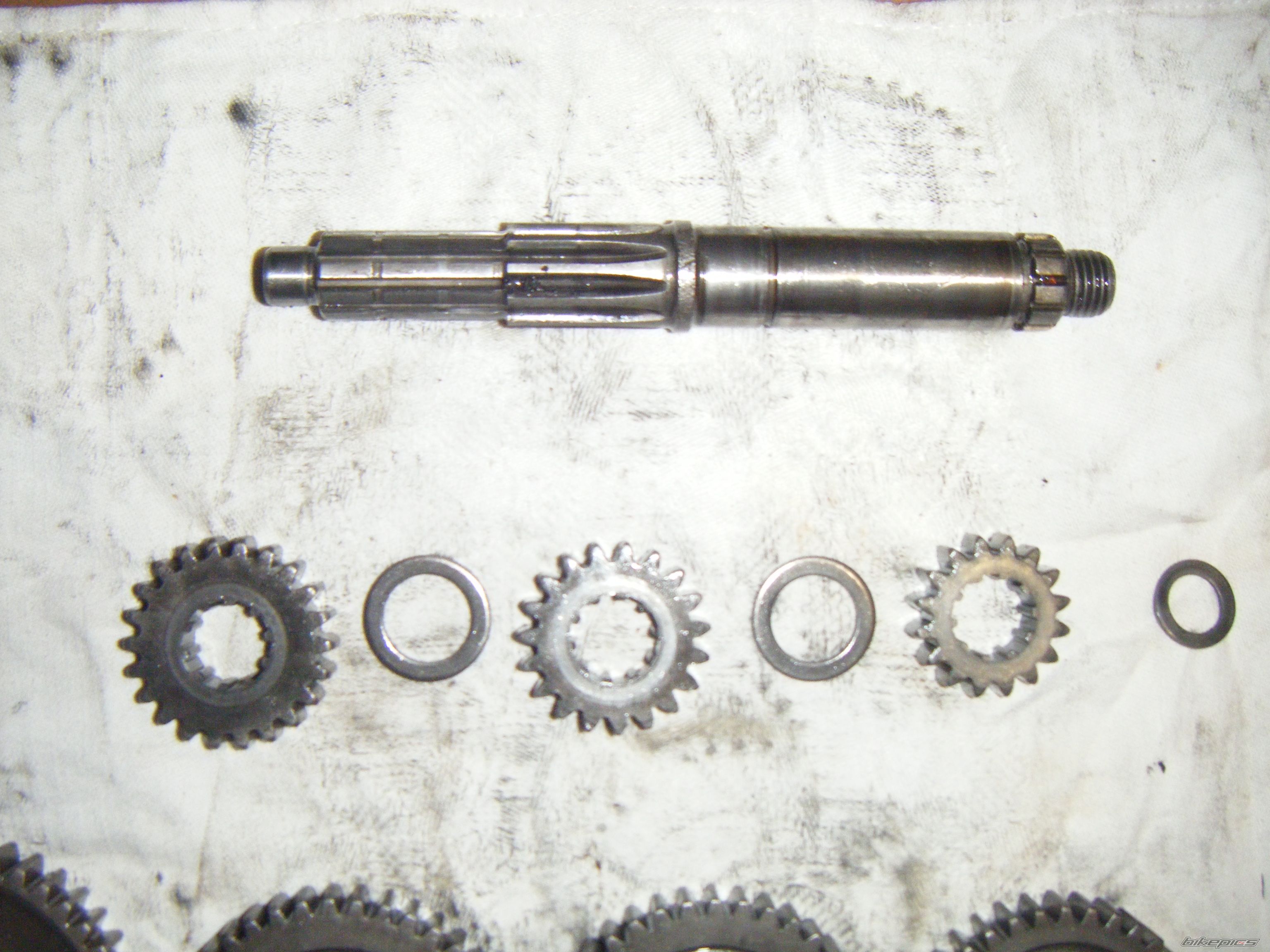 Photo 2418819