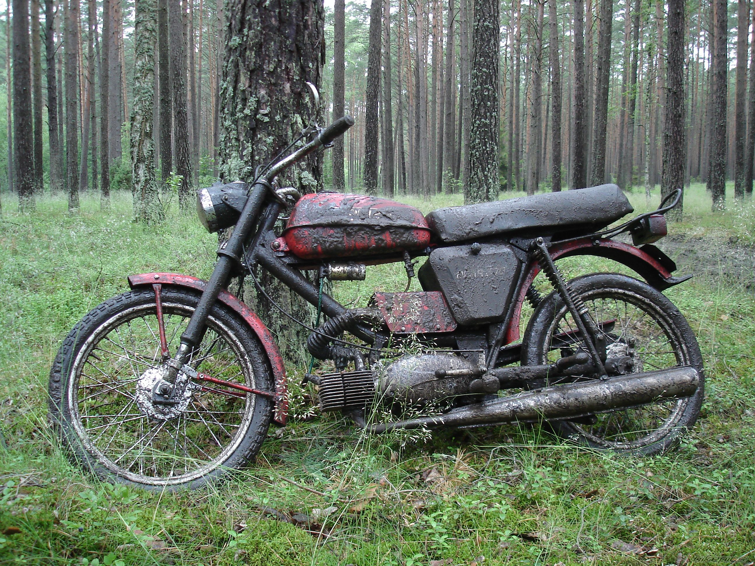 Photo 2418941