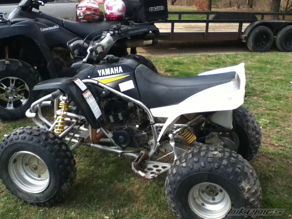 Photo 2419024