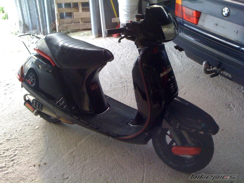 Photo 2419048