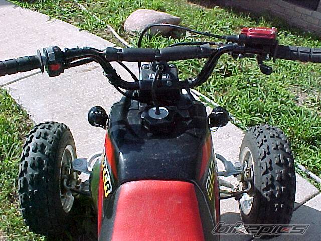 Photo 24197