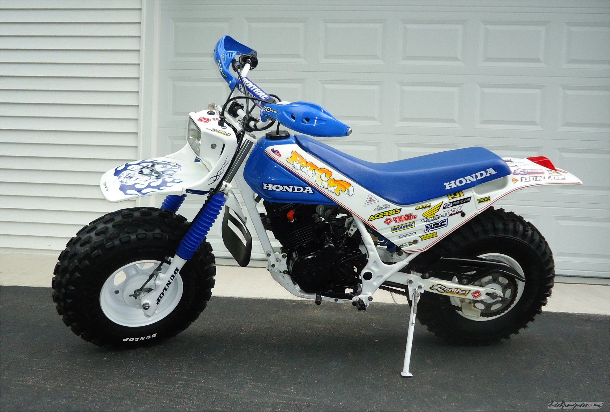 Photo 2419827