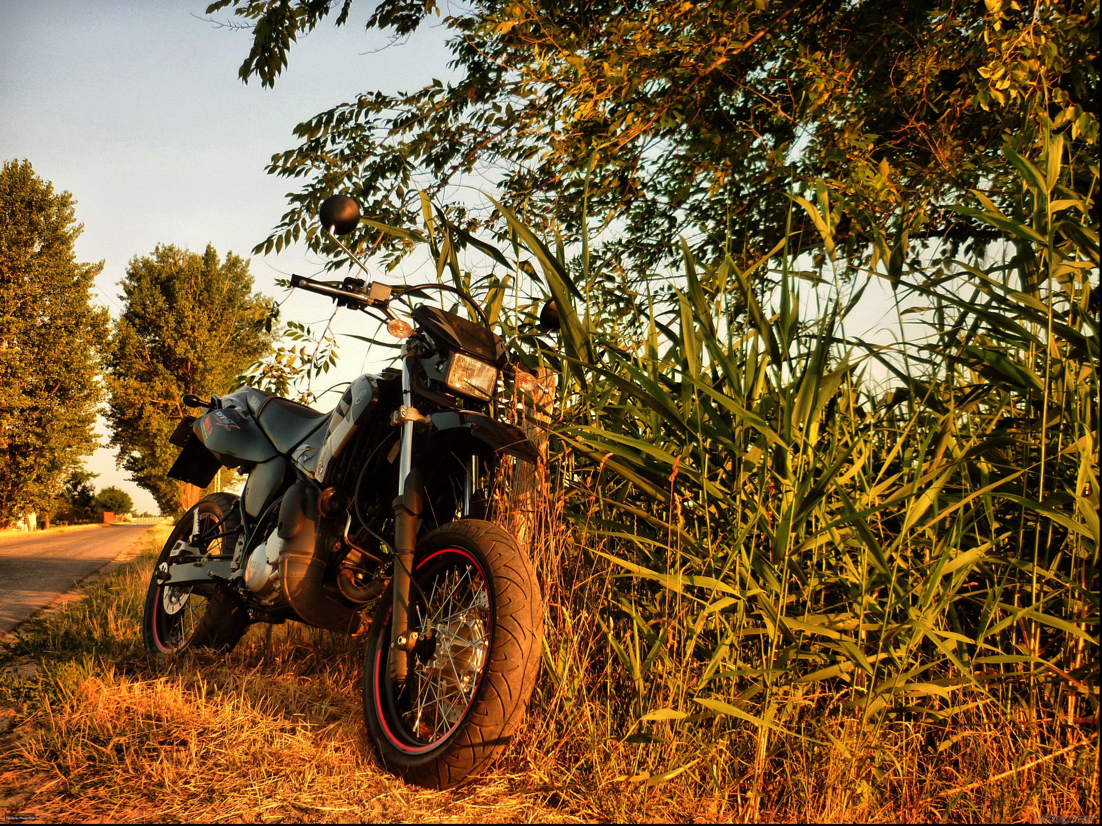 Bike Photo 2419850