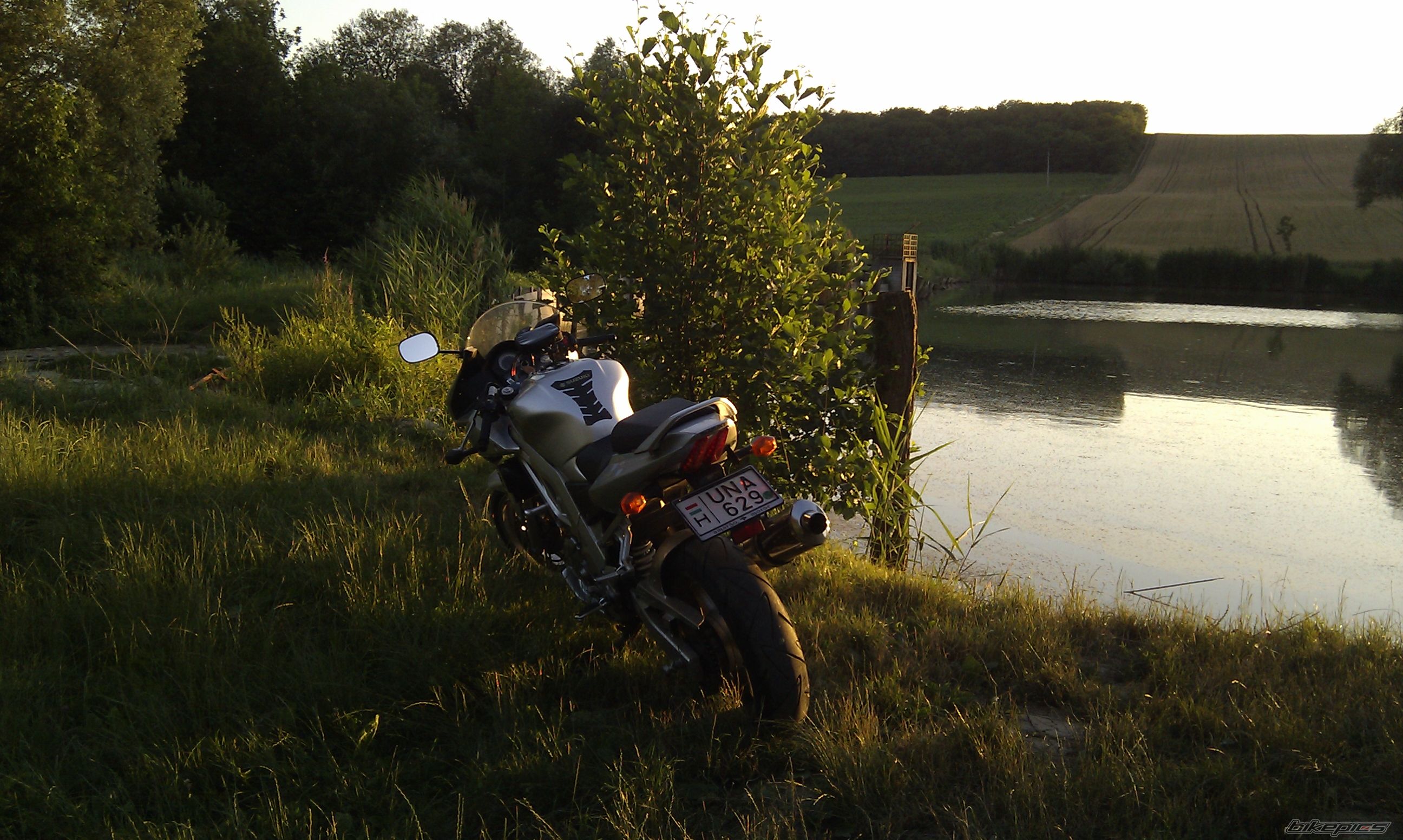 Photo 2419991