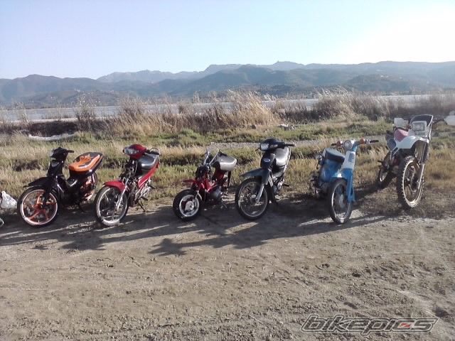 Photo 2420043