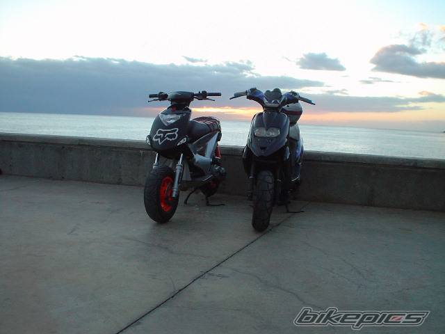 Photo 242024