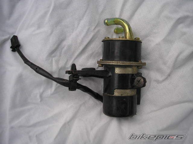 Photo 2420288