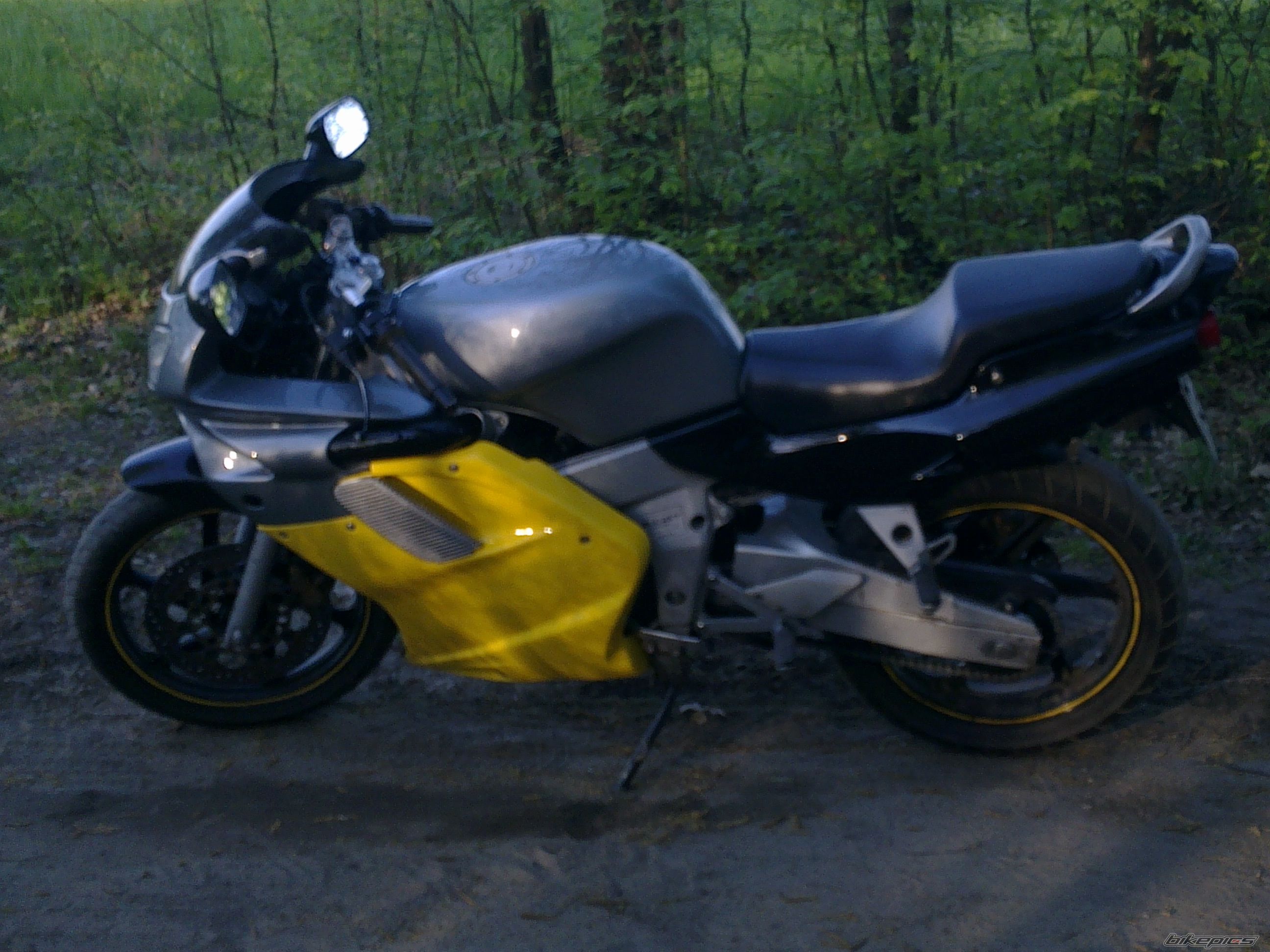 Photo 2420449