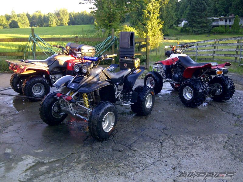 Photo 2420563