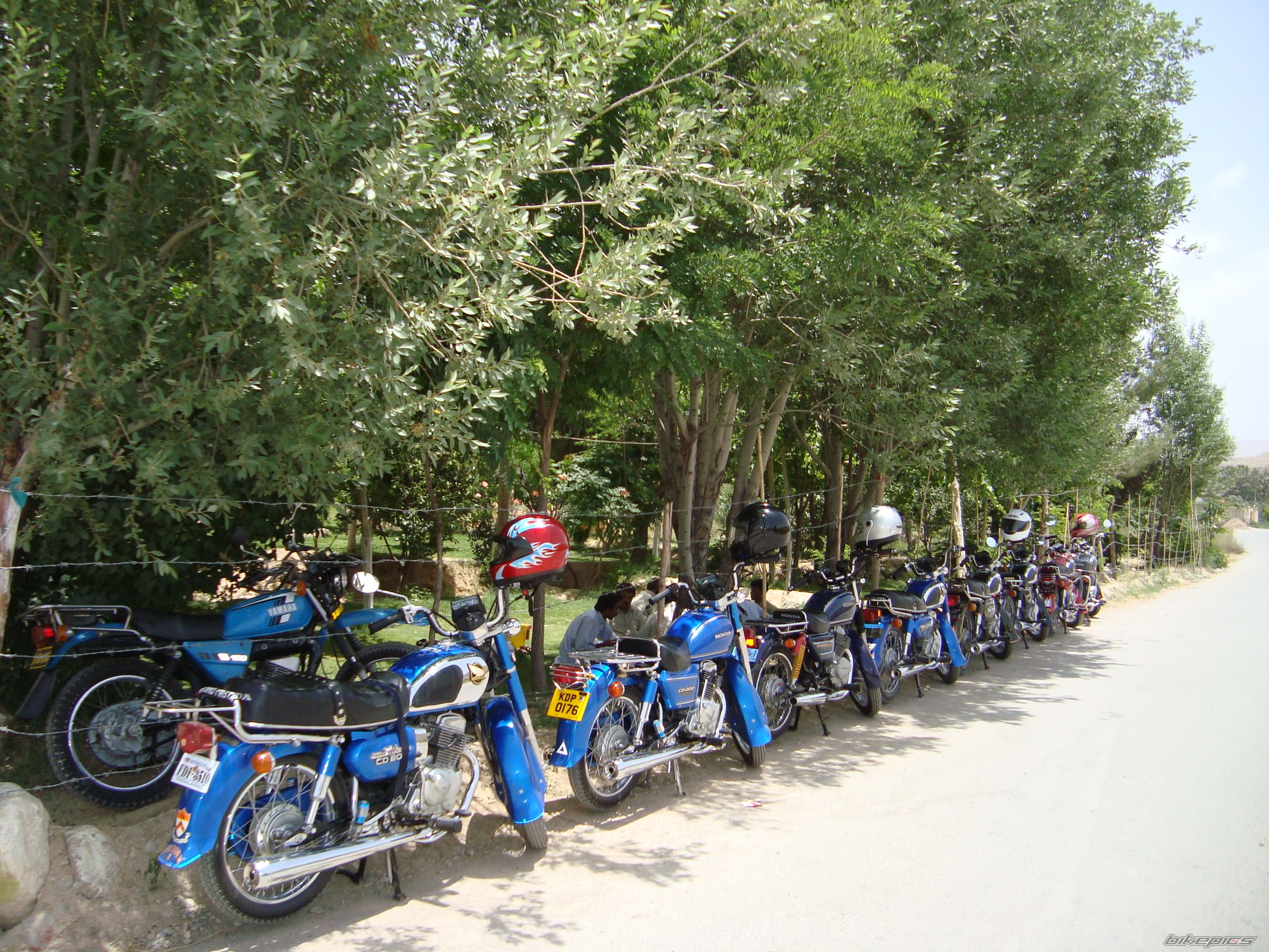 Photo 2420565