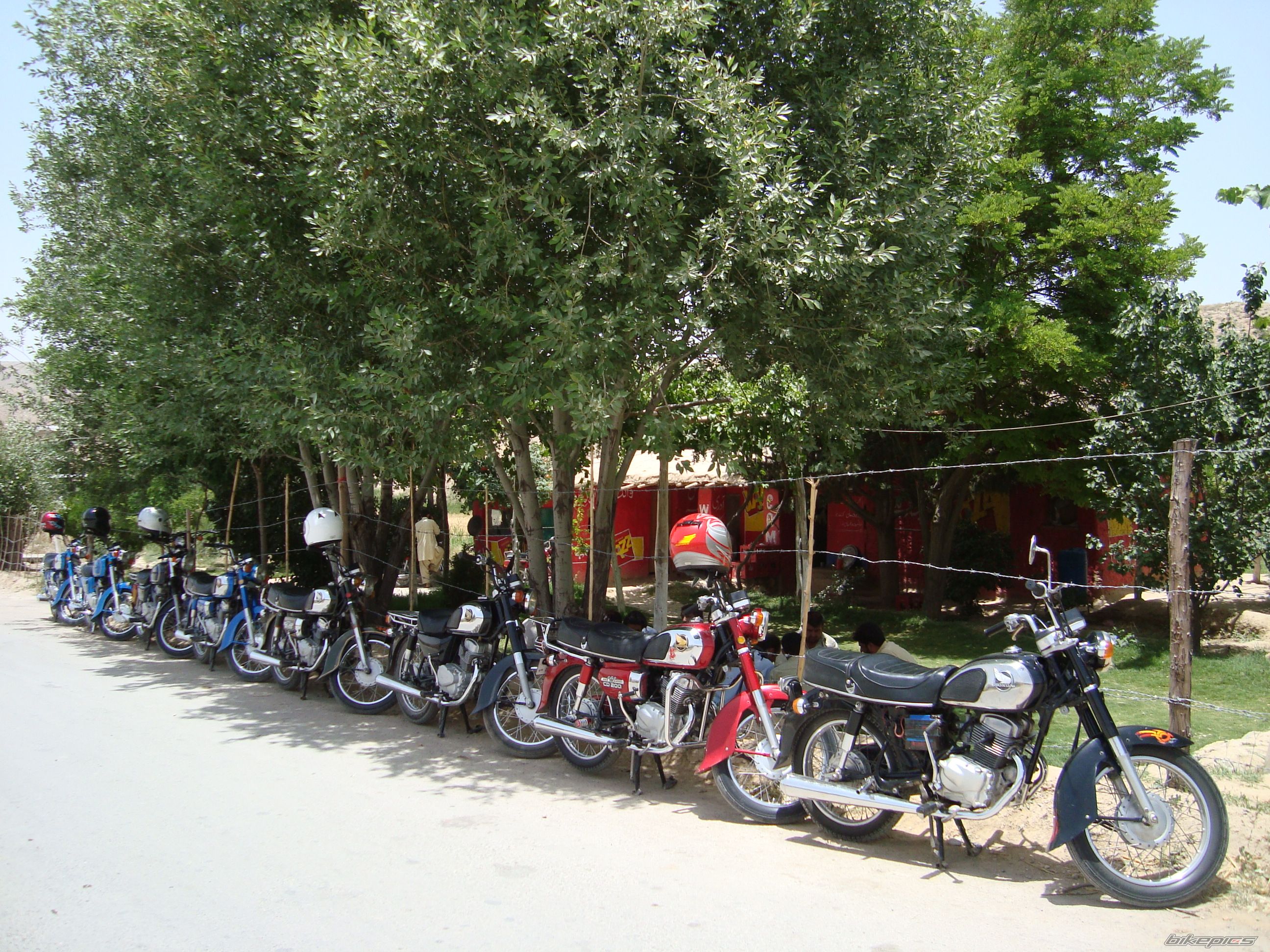 Photo 2420569