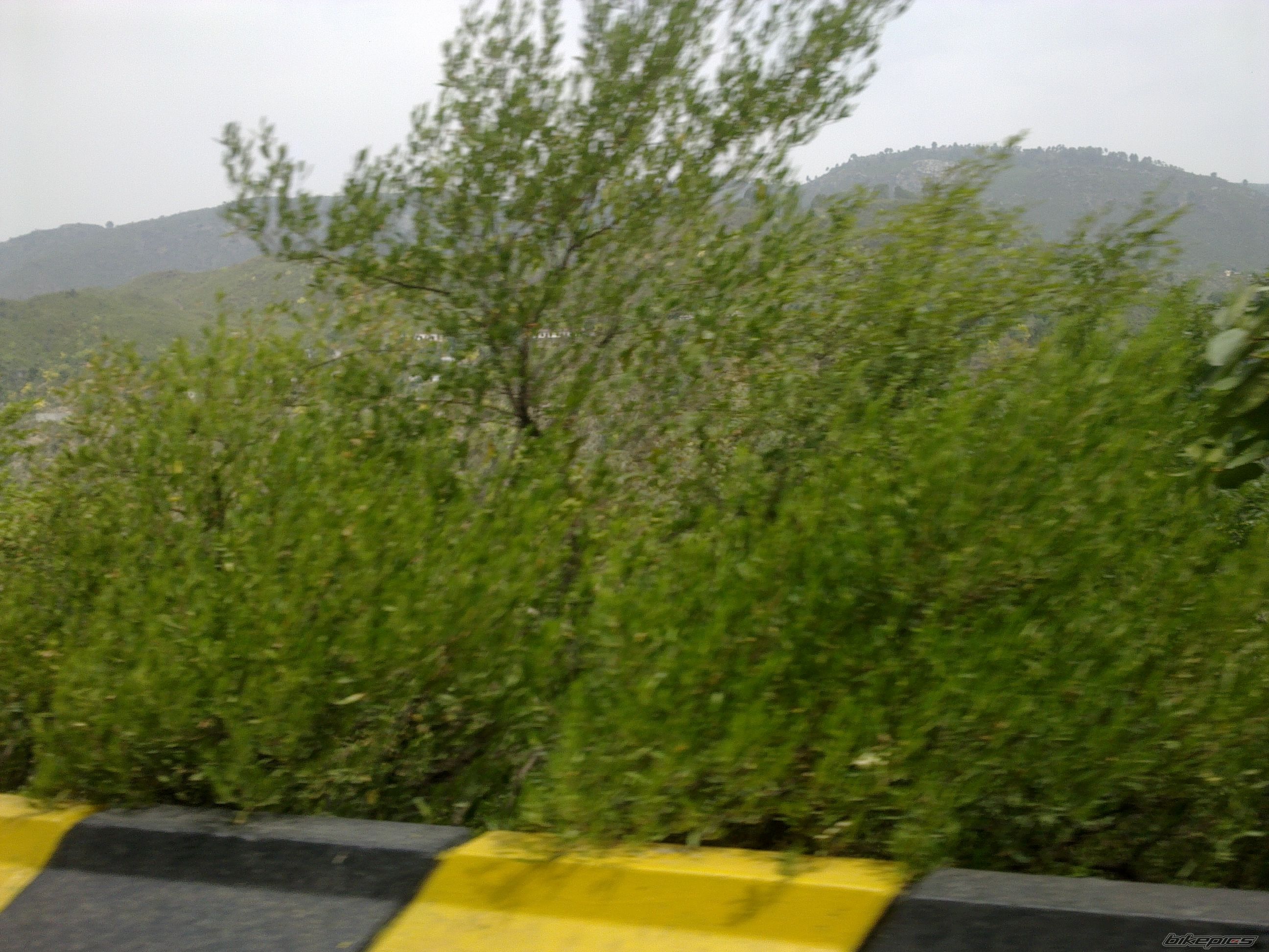 Photo 2420573