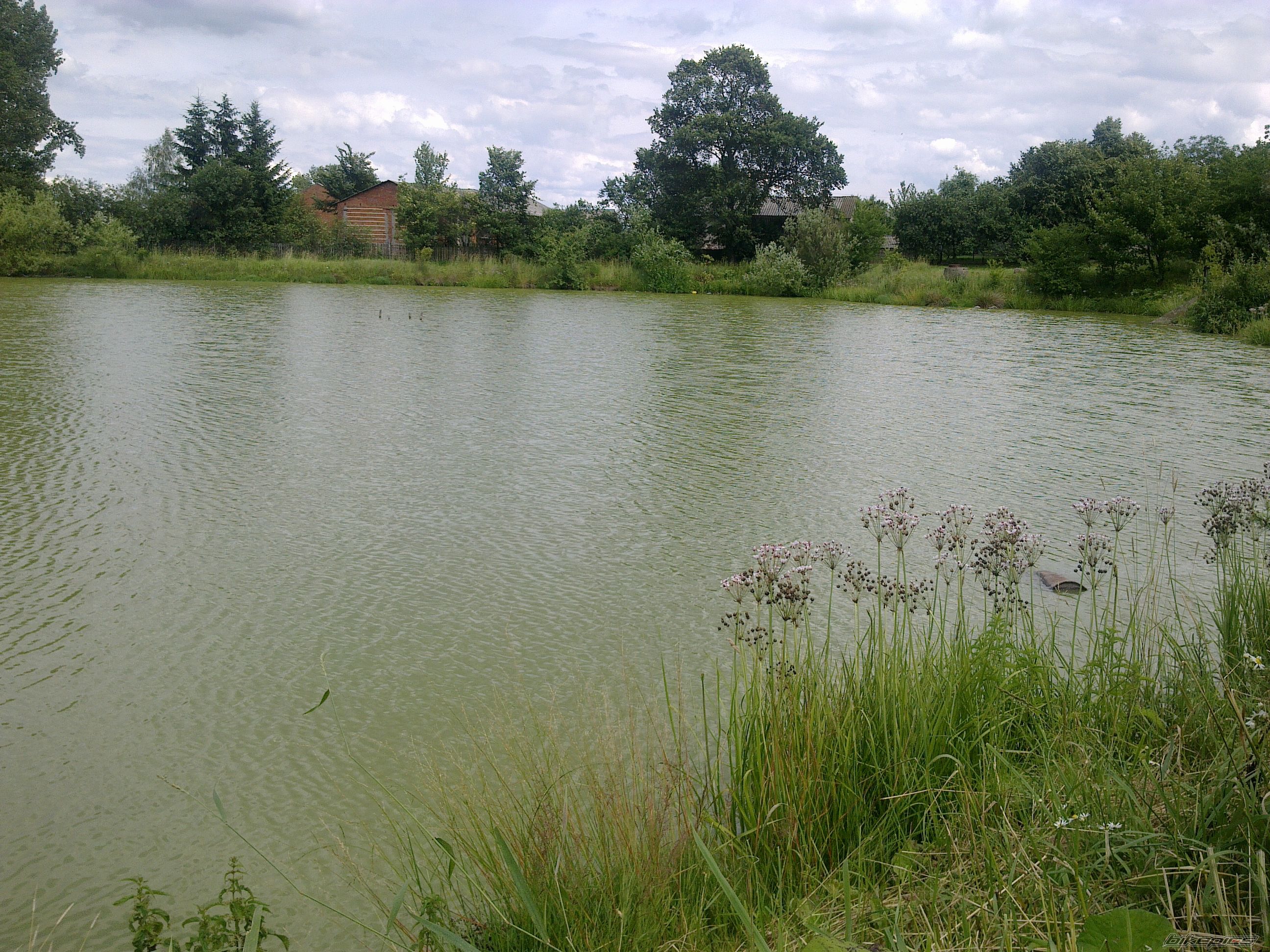 Photo 2420619