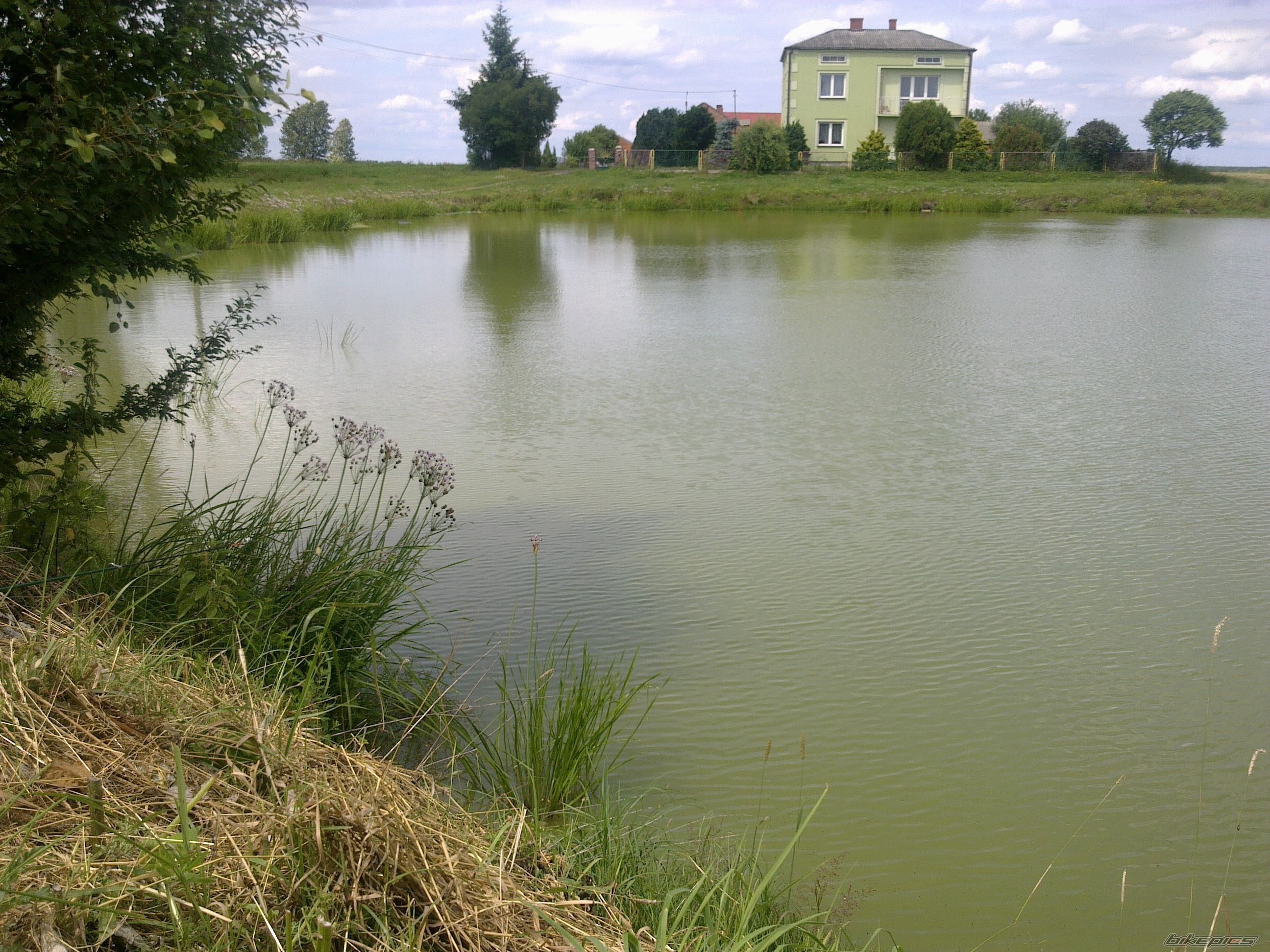 Photo 2420620