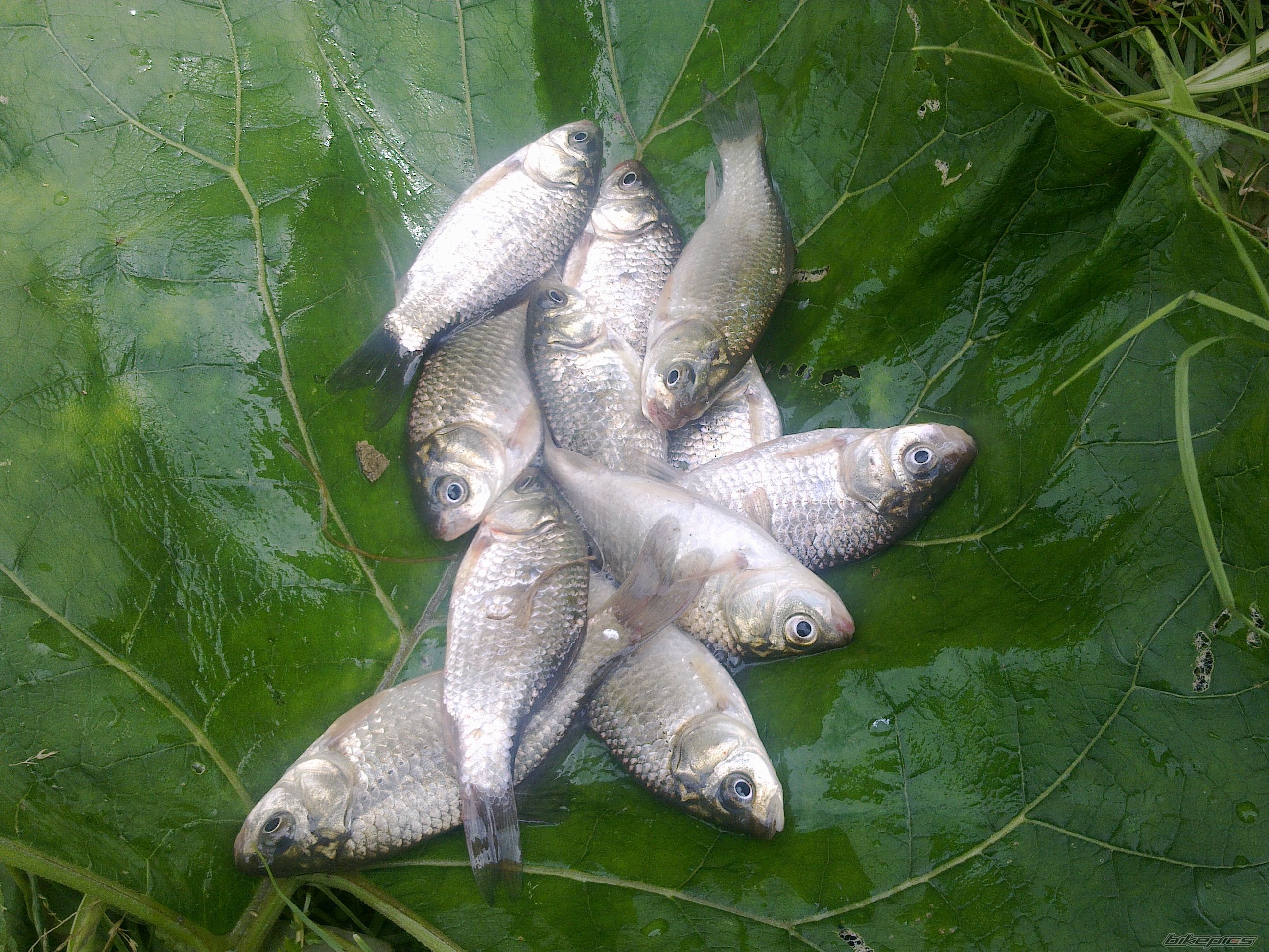 Photo 2420621