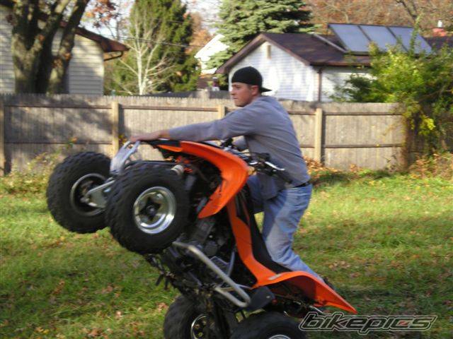 Photo 242071