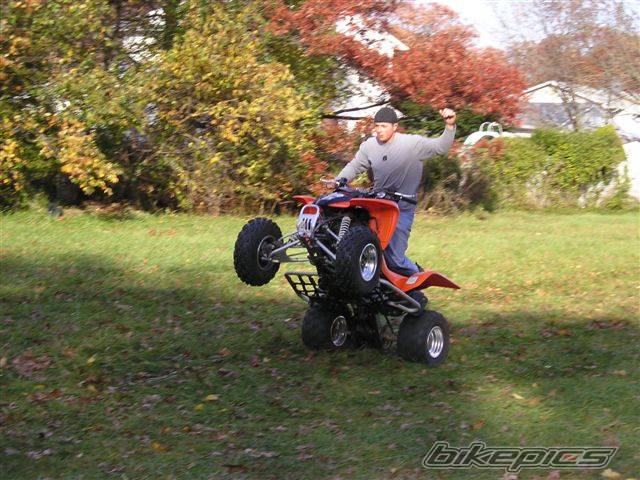 Photo 242074