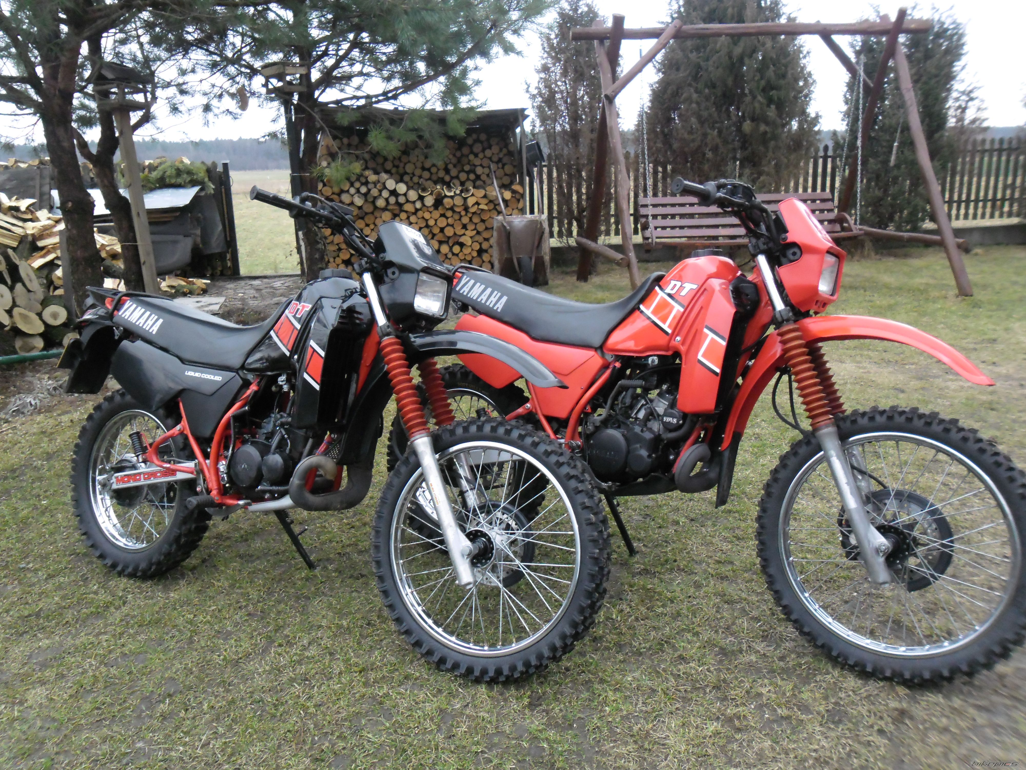 Photo 2420788