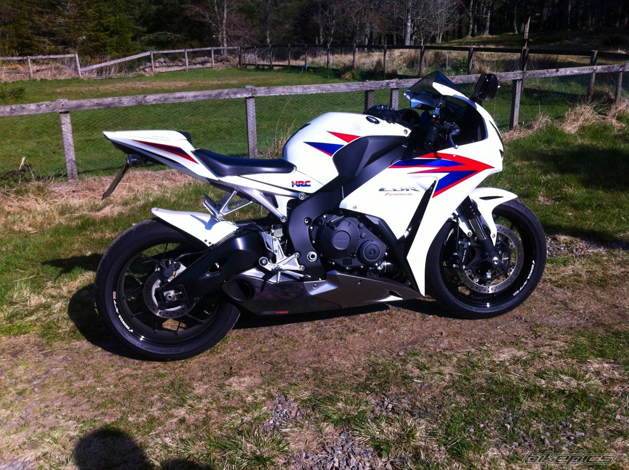 Photo 2420794