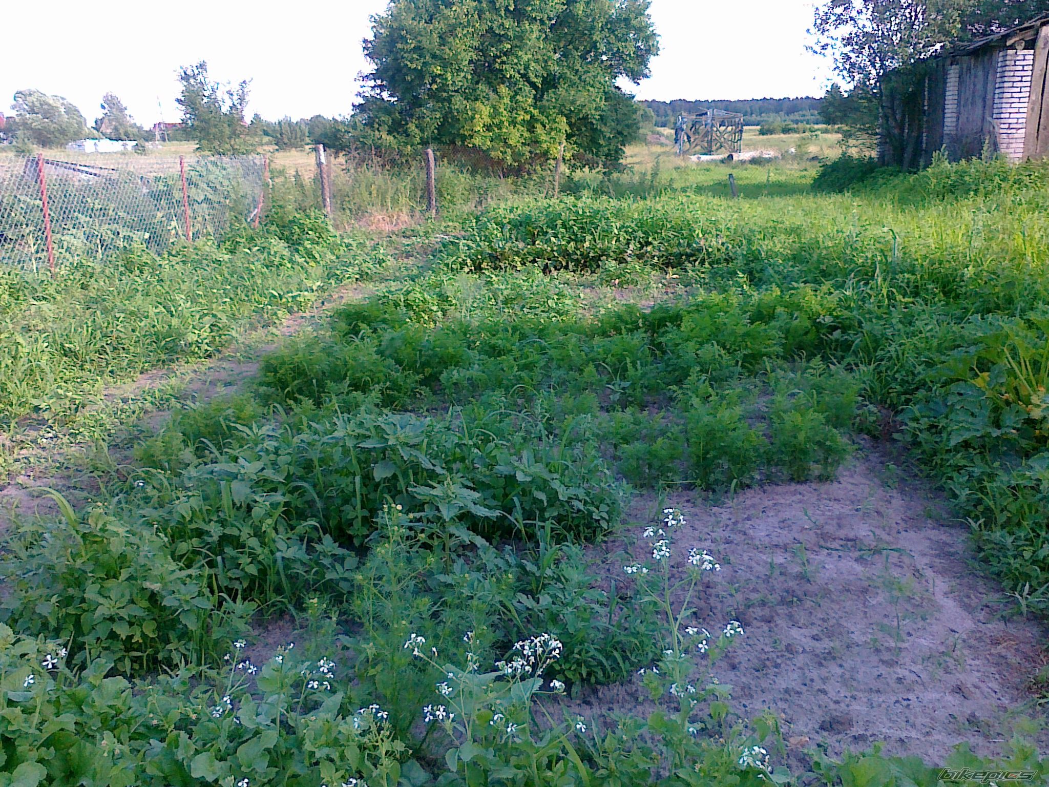 Photo 2420797