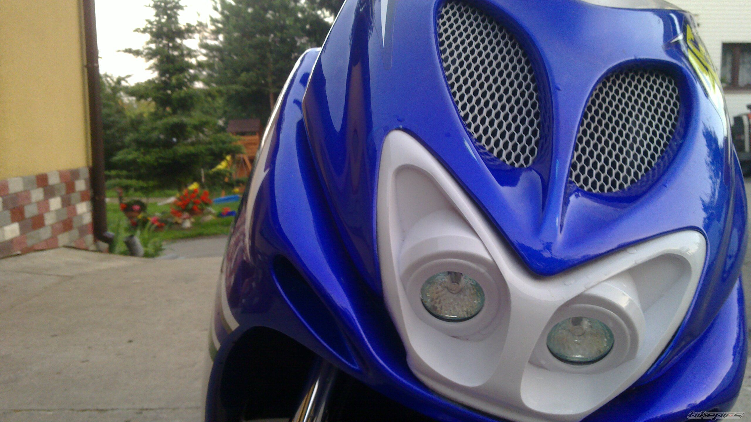 Photo 2420813