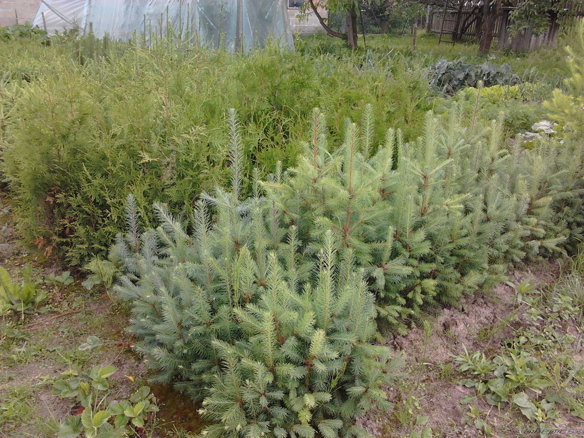 Photo 2420870