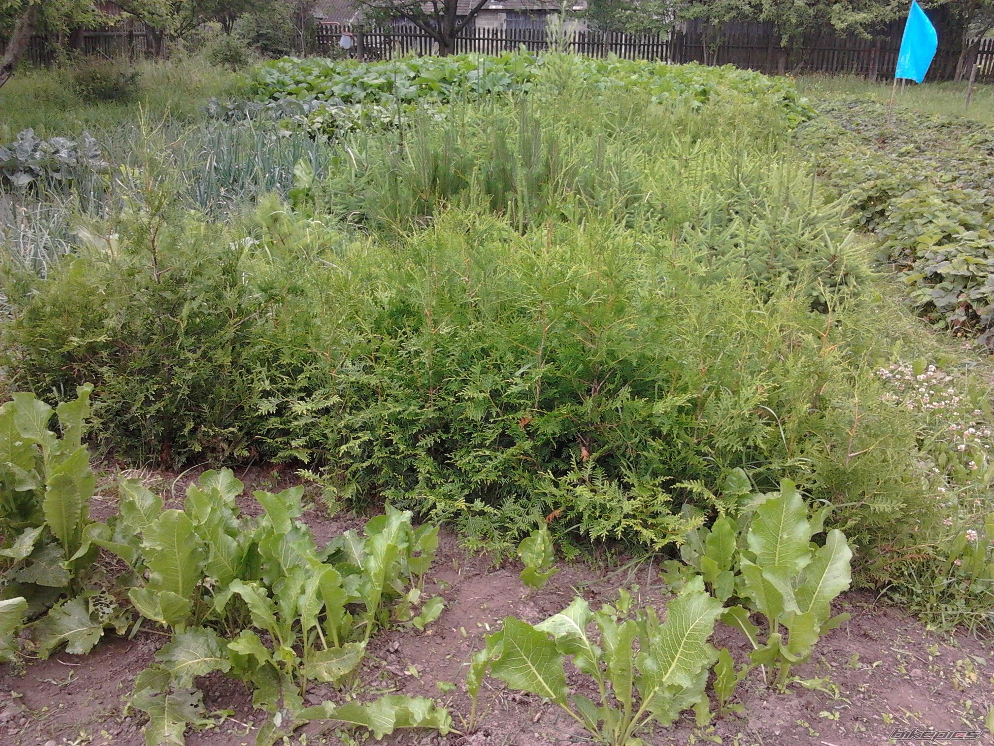 Photo 2420883