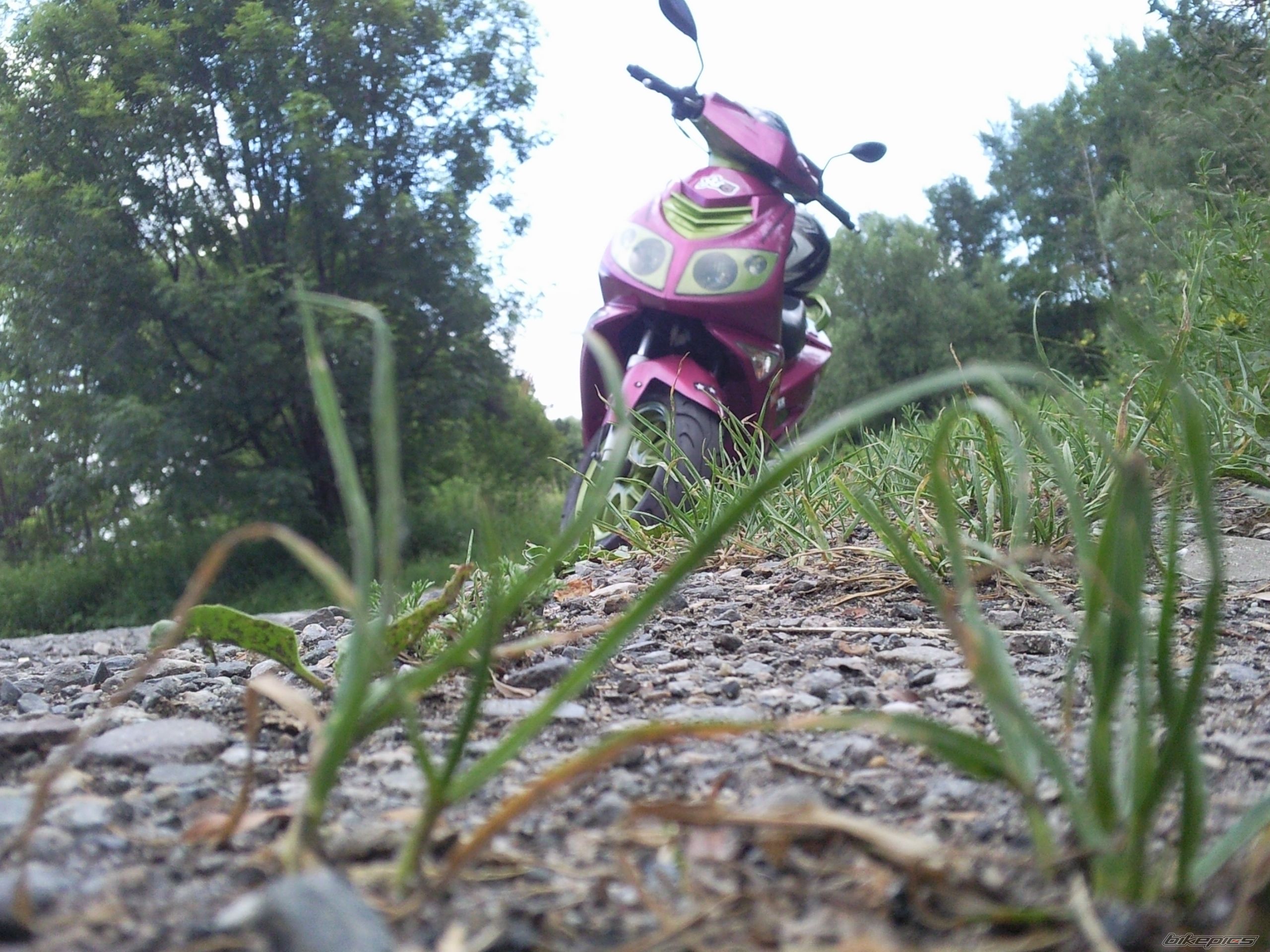 Photo 2420979
