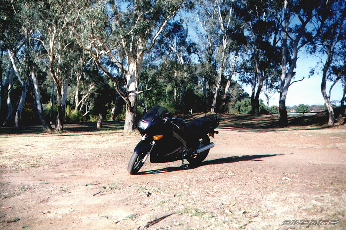 Photo 242102