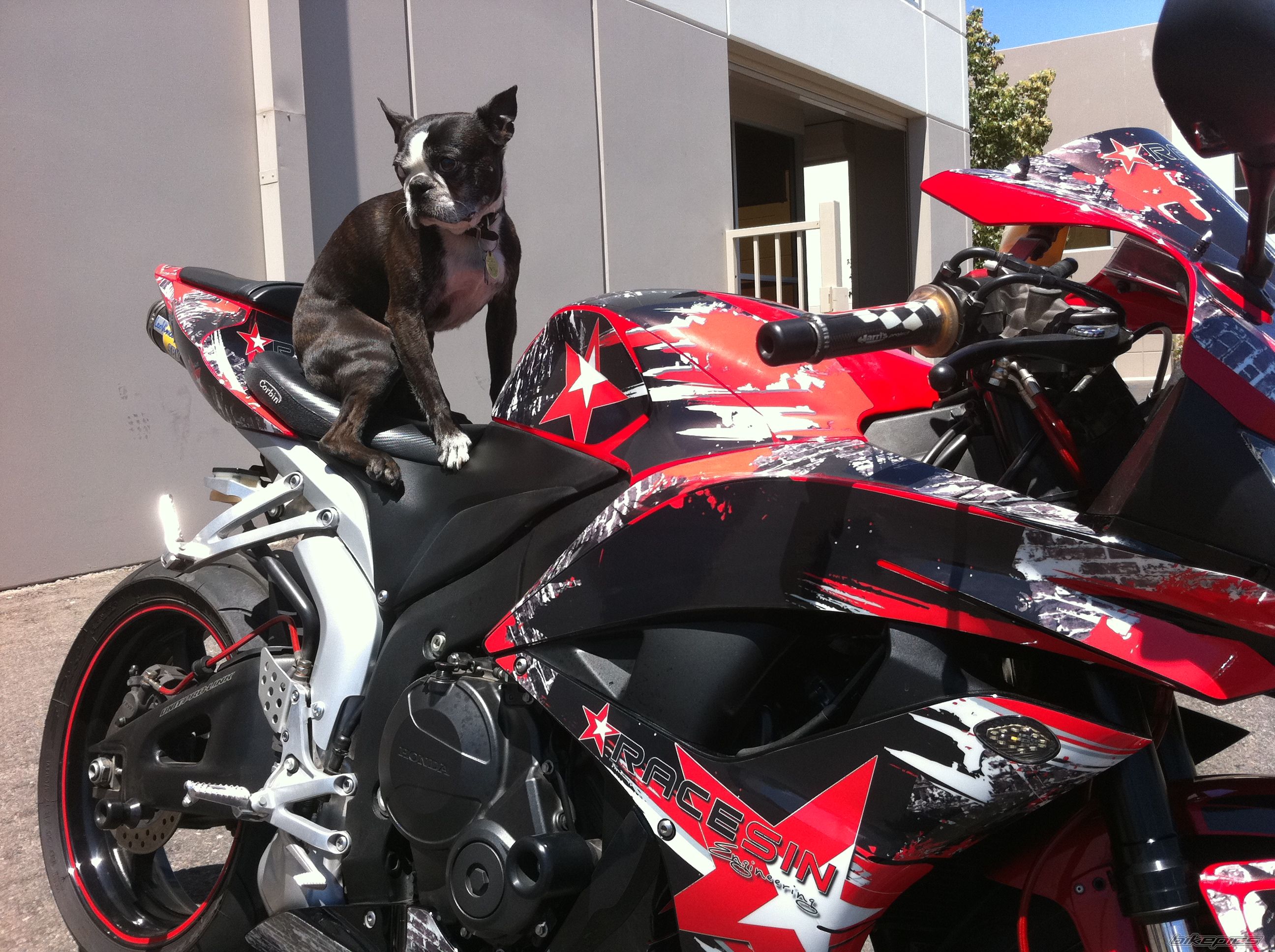 Photo 2421205
